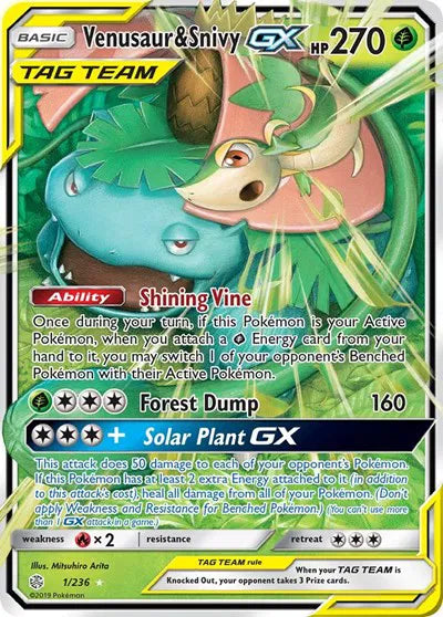 1/236 Venusaur & Snivy GX
