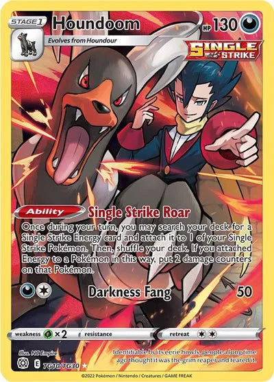 TG10/TG30 Houndoom - Brilliant Stars