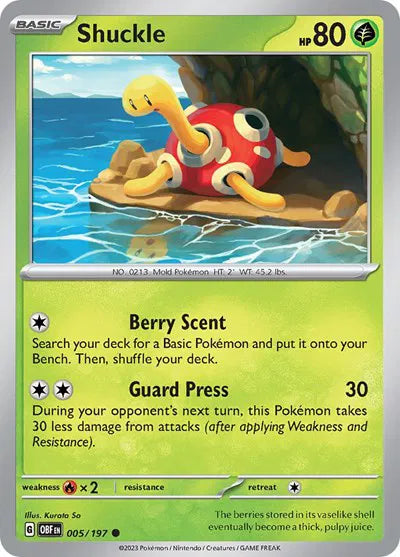 005/197 Shuckle Reverse Holo