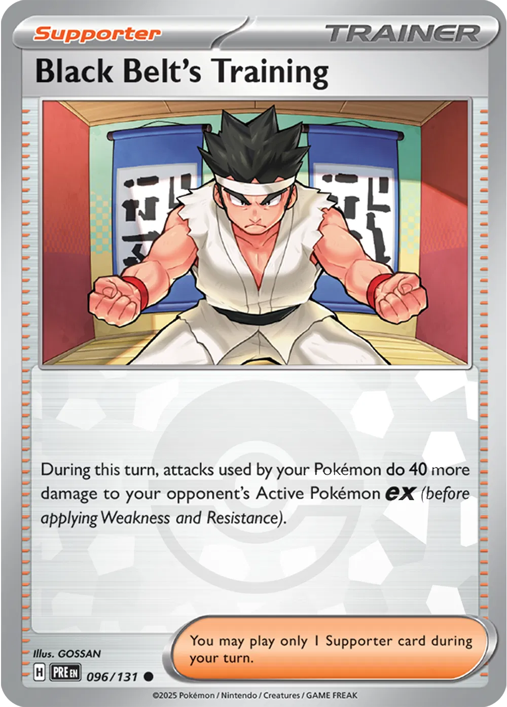 096/131 Black Belt Training Poke Ball