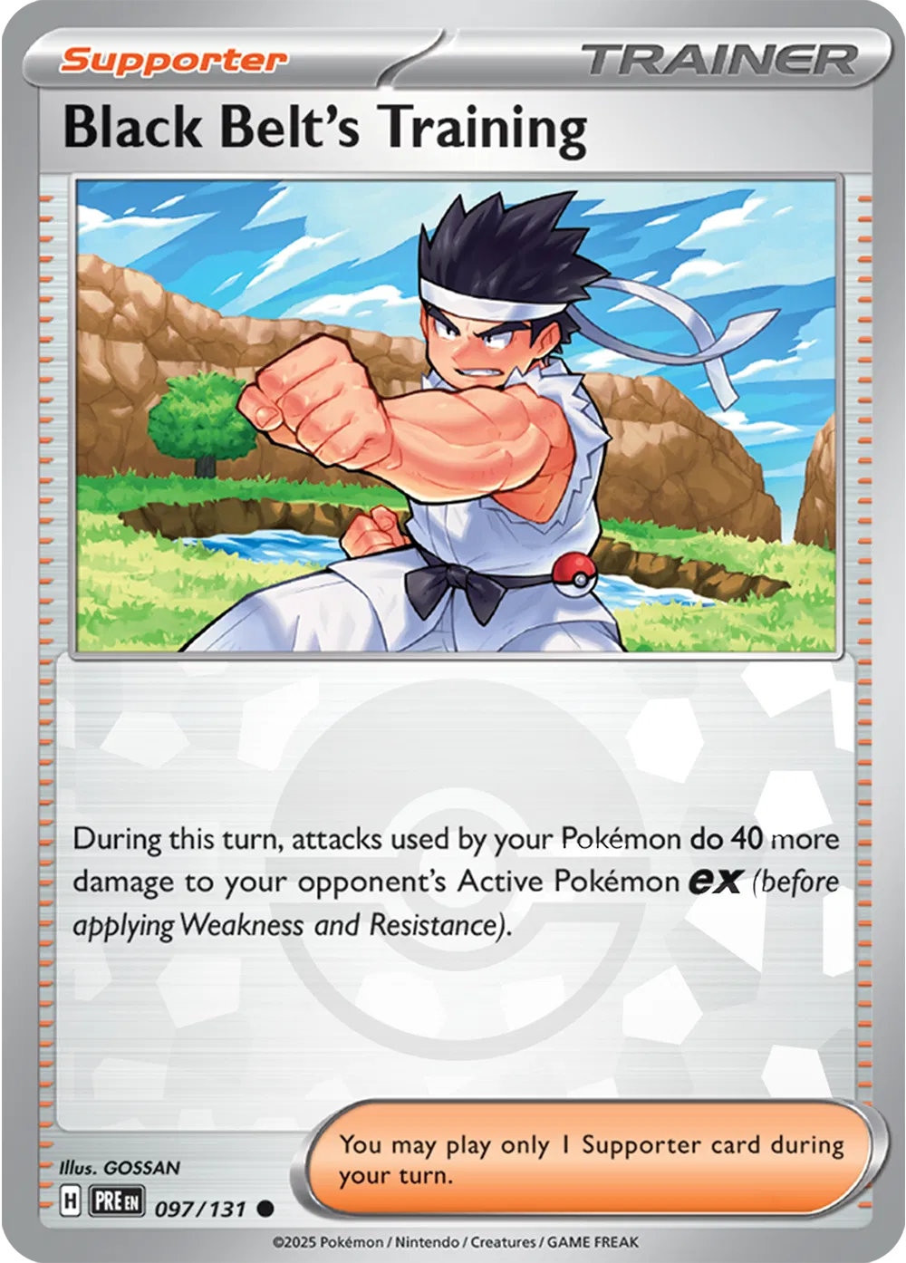 097/131 Black Belt Training Poke Ball