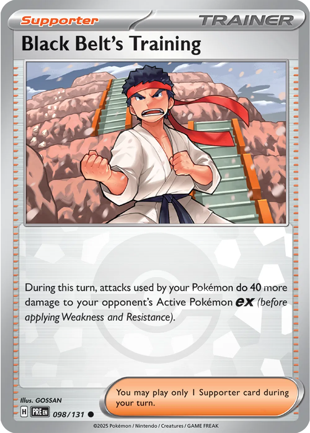 098/131 Black Belt Training Poke Ball