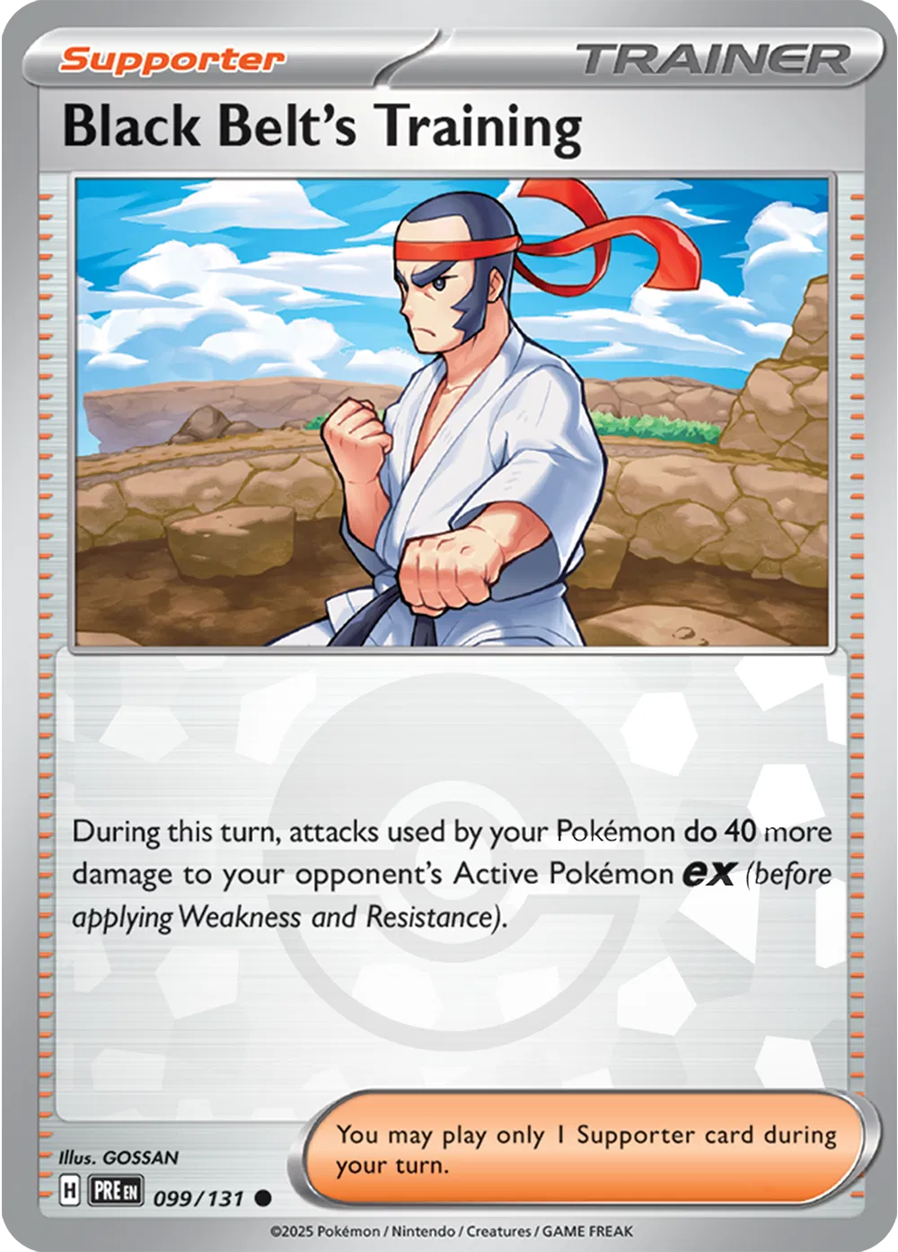 099/131 Black Belt Training Poke Ball