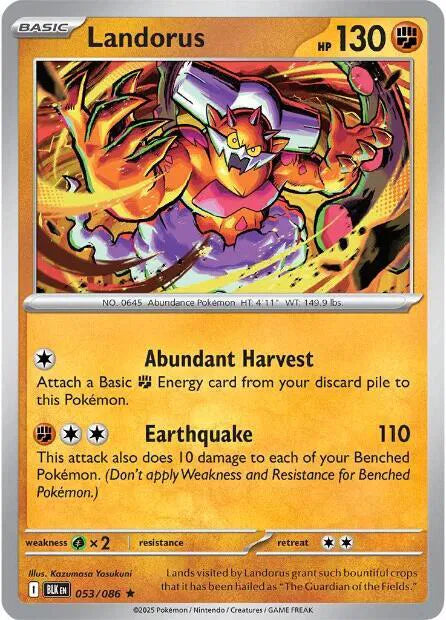 053/086 Landorus Holofoil
