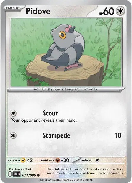 071/086 Pidove Reverse Holo