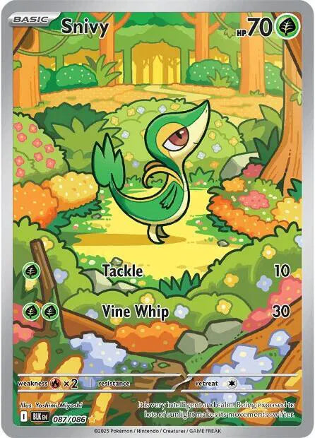 087/086 Snivy