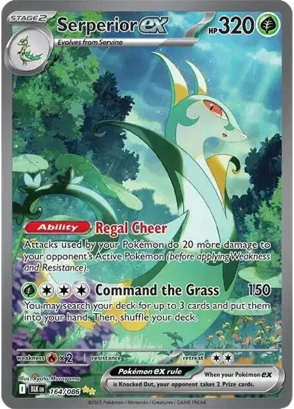164/086 Serperior EX