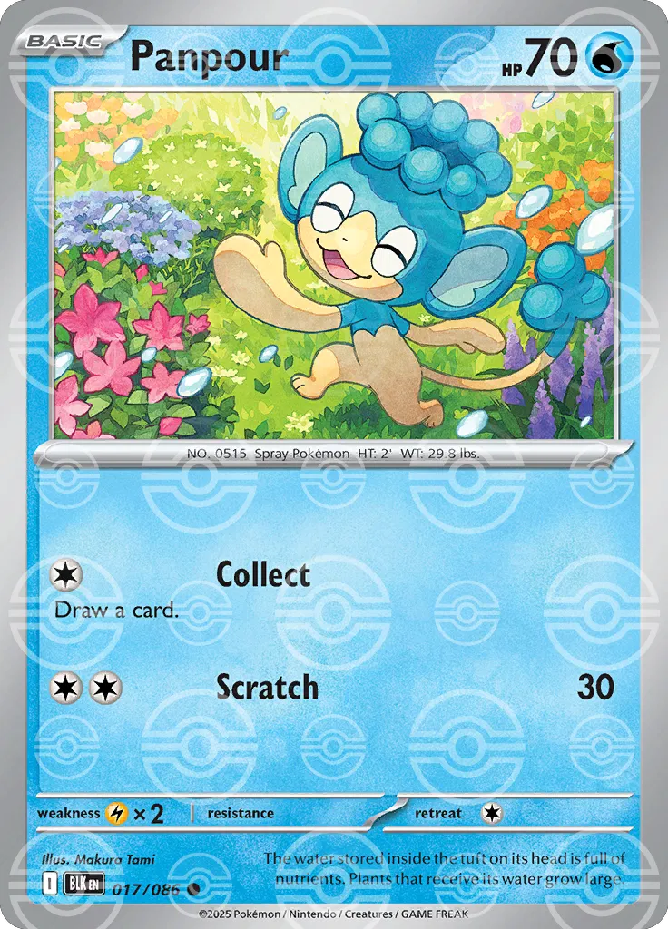 017/086 Panpour Poke Ball - Black Bolt Special Set