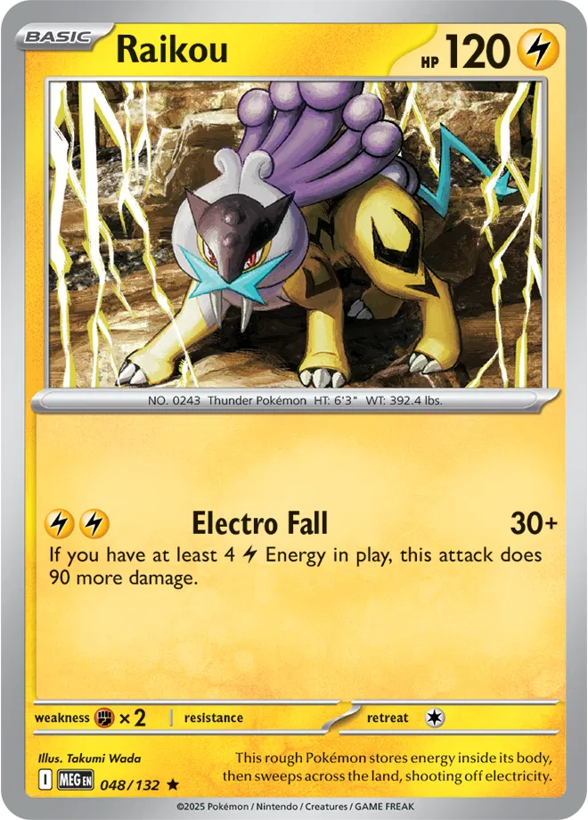 048/132 Raikou Holofoil