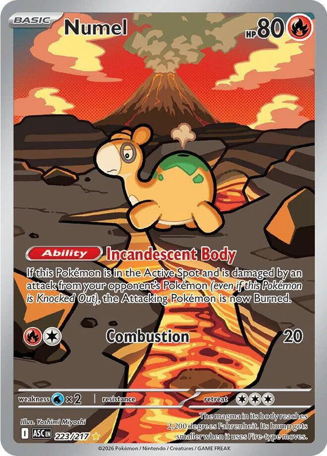 223/217 Numel