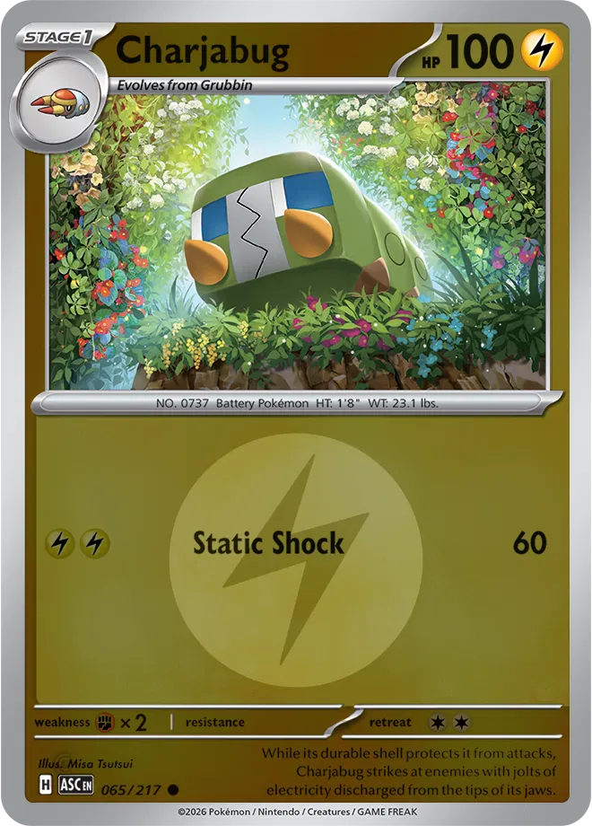 065/217 Charjabug Energy Symbol